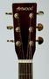 guitare artwood guitars td187scL gaucher