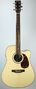guitare artwood guitars dreadnought electroacoustique